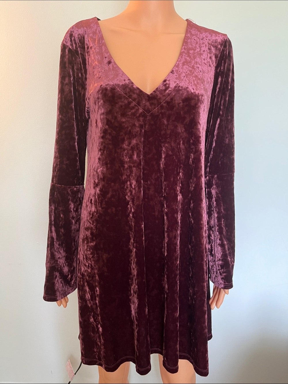 a.n.a Crushed Velvet Long Sleeve V-Neck Dress in Deep Wine